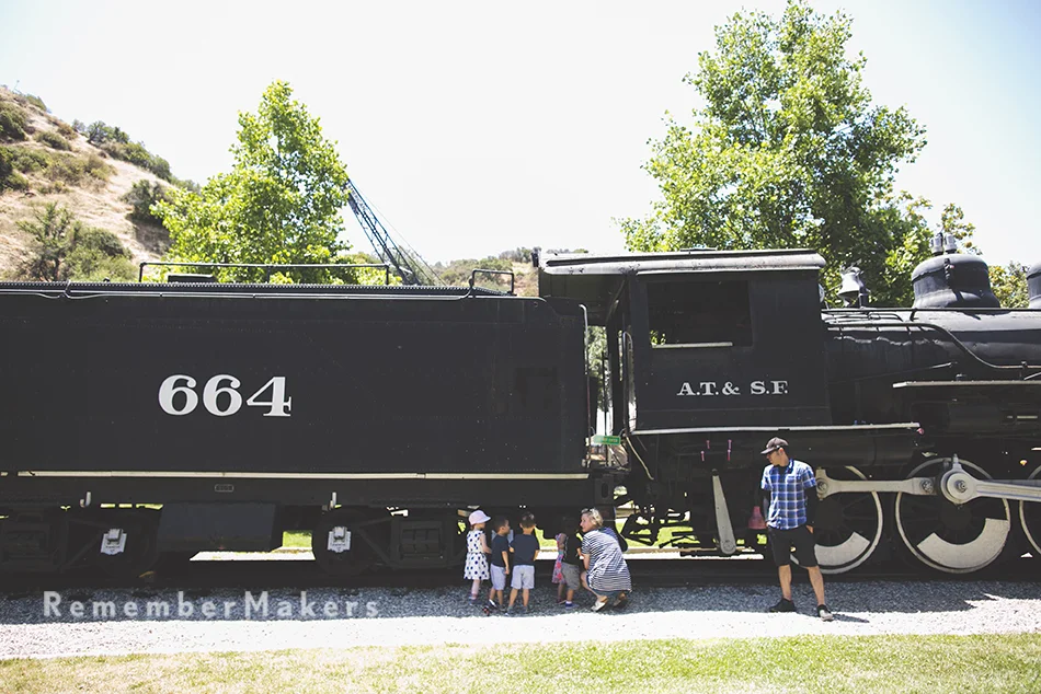 3b4a9079-copy.jpg