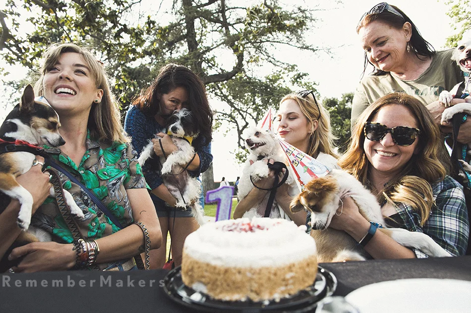 A Puppy Reunion (yes, you heard me right) | The REAL Bark Dog Rescue, Echo Park | LA Event Photography