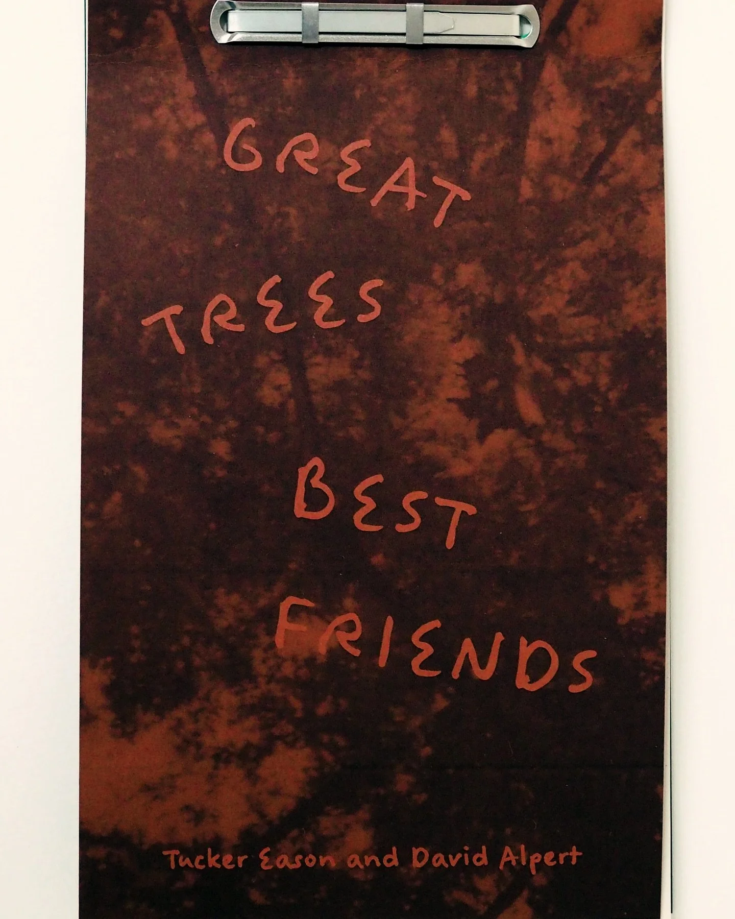 GREAT TREES - BEST FRIENDS: The most beautiful project I've ever been a part of. 

New York City Department of Parks and Recreation has 62 Great Trees on record. For various reasons these trees have been designated important to the city and are prote