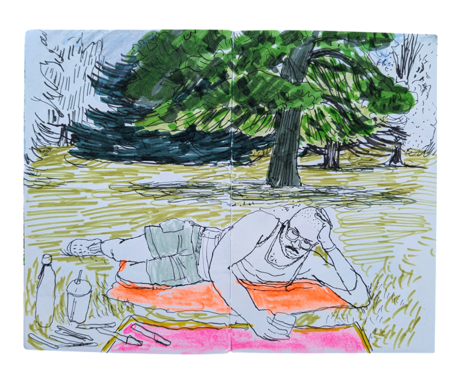 PXL_20250530_065638147-Photoroom.png