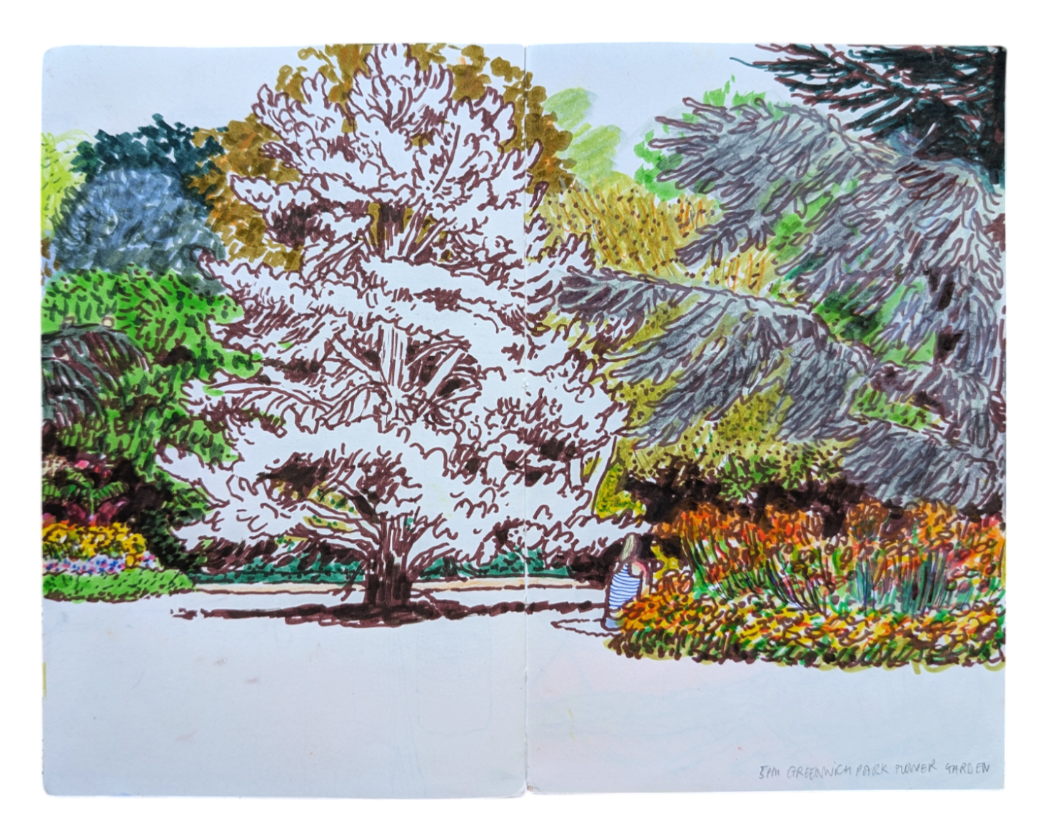 PXL_20250530_065630793-Photoroom.png