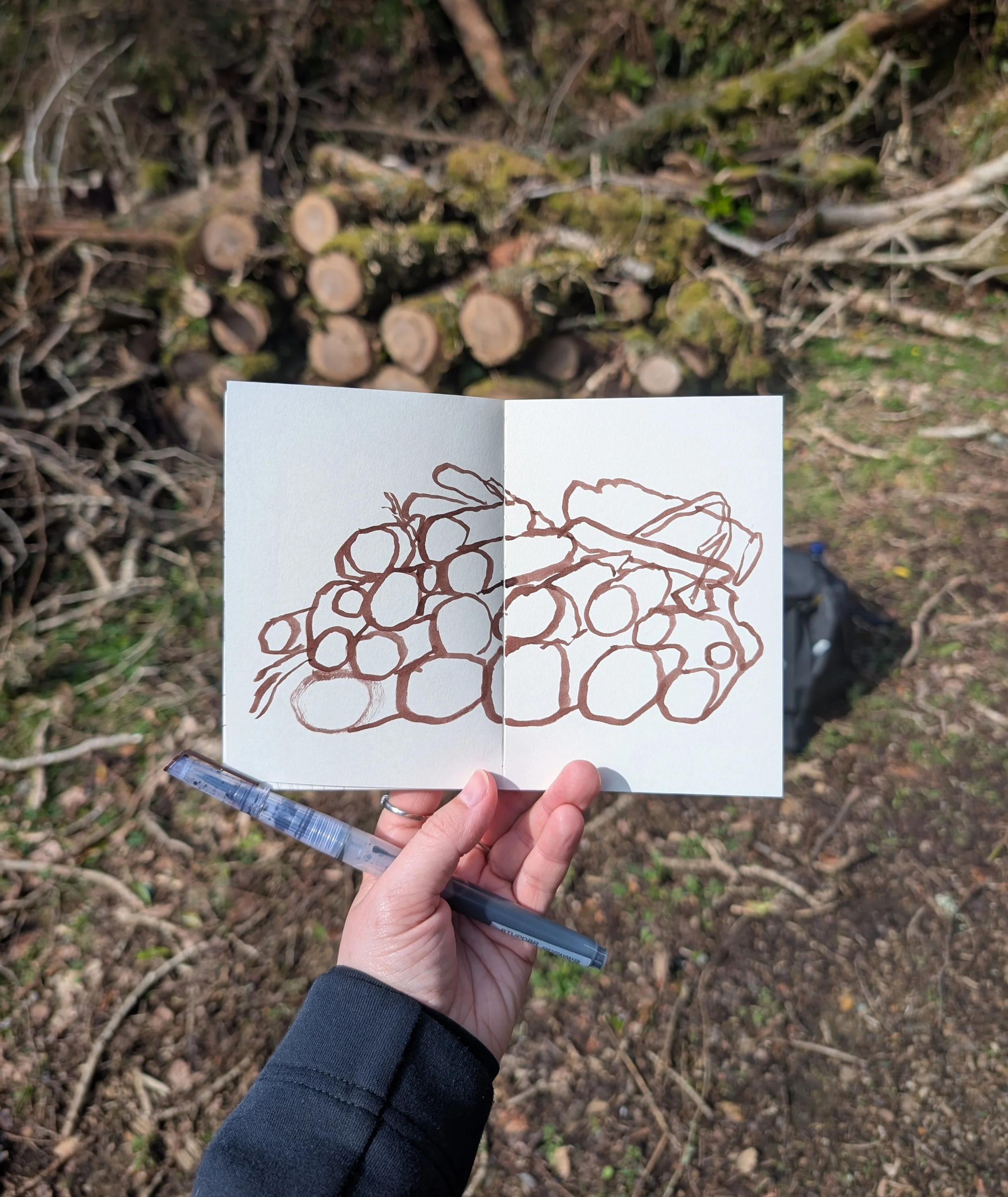 Four days in the Highlands