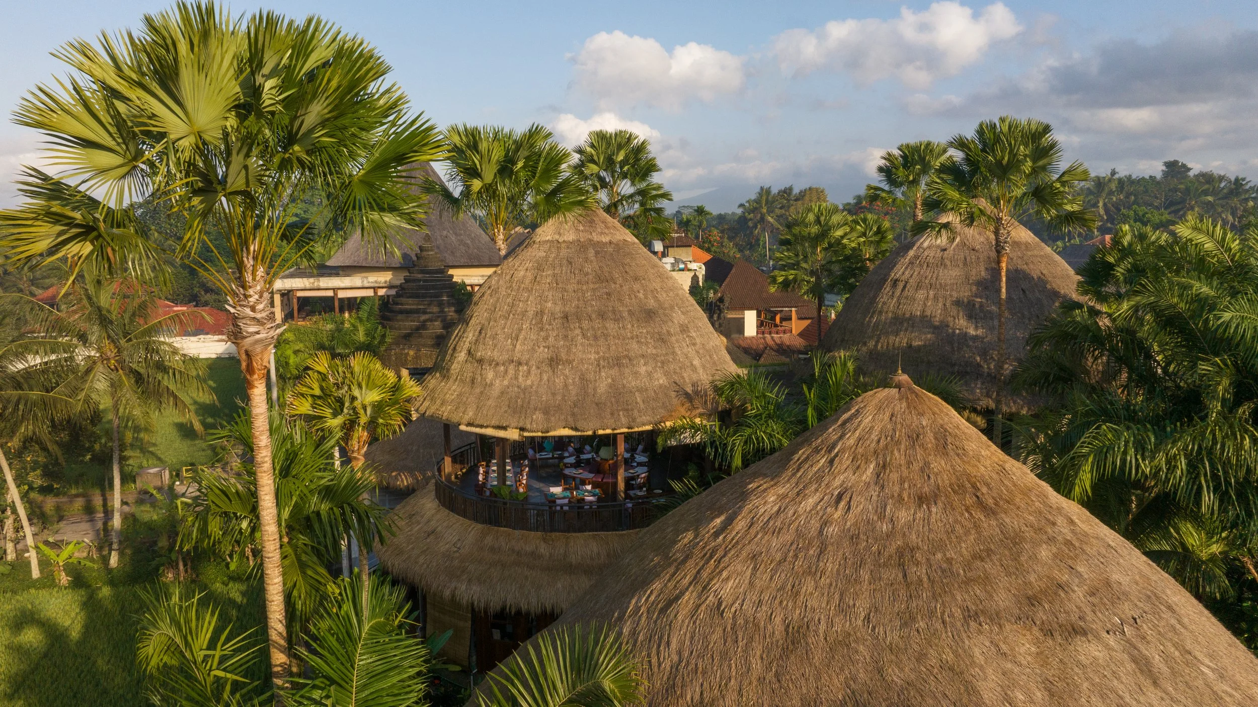 honai-resort-ubud-honai-architecture-aerial.JPEG