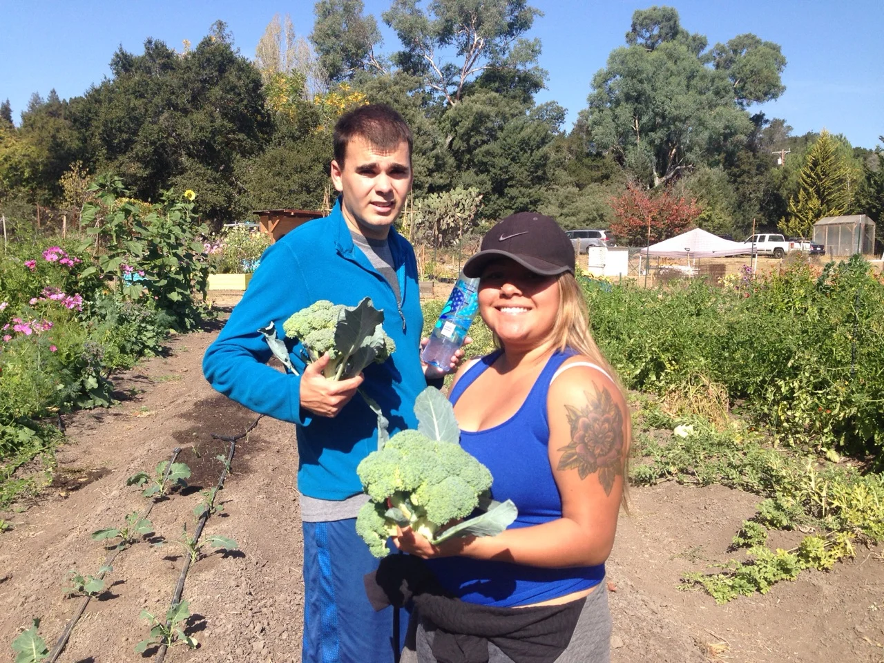 Why It Matters — Common Roots Farm