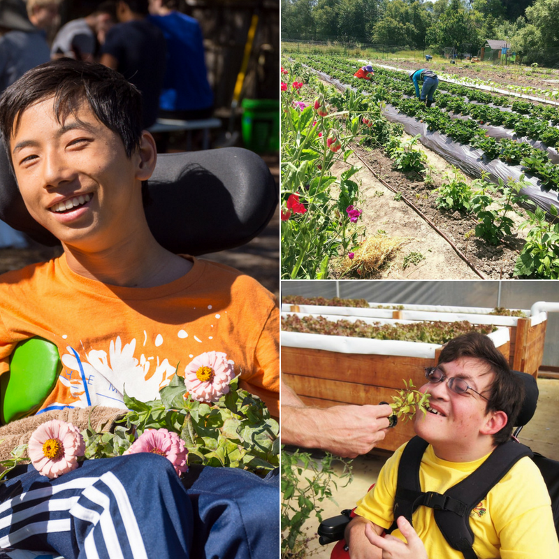 What We Do — Common Roots Farm