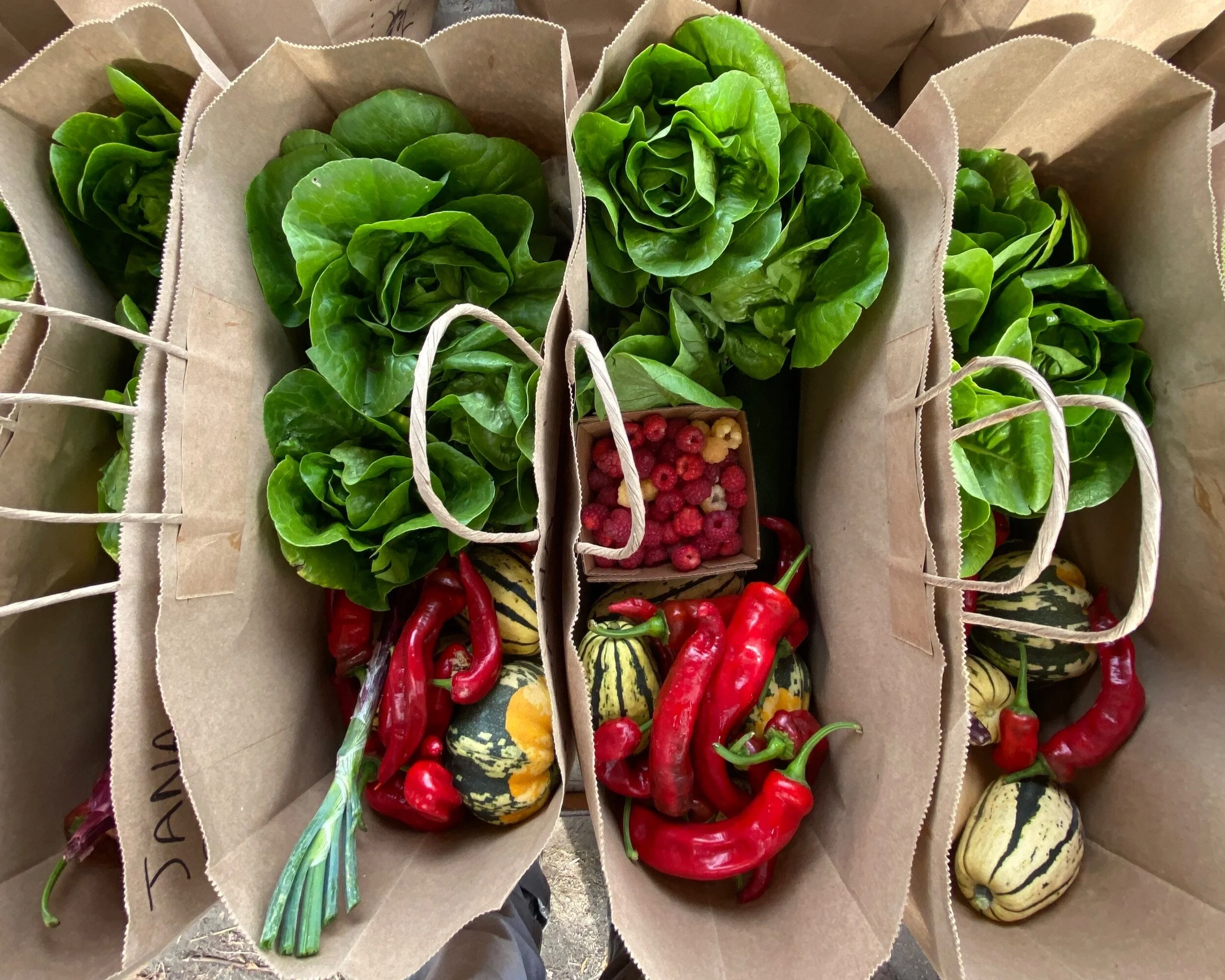 CSA — Common Roots Farm