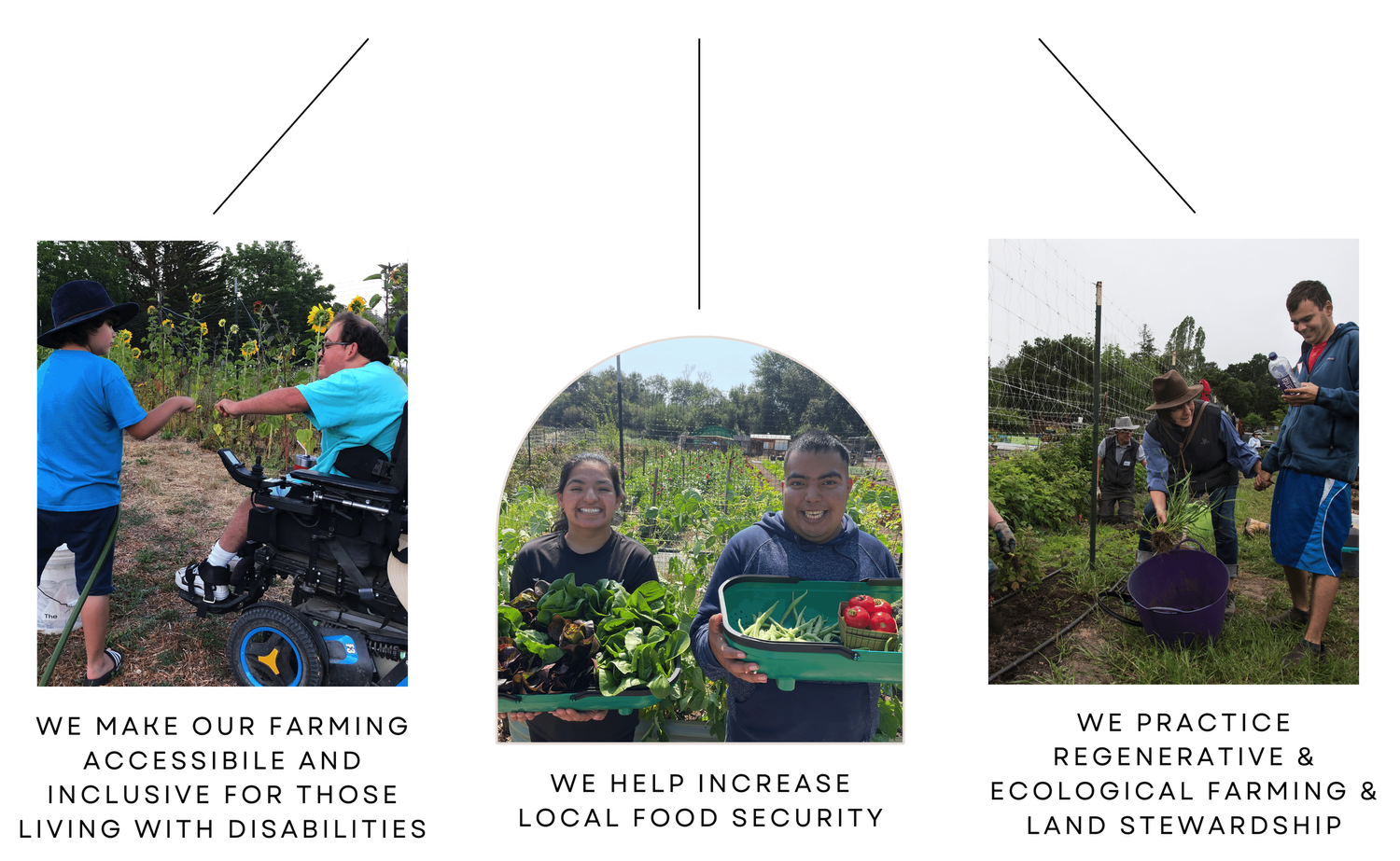 2025 Csa Common Roots Farm