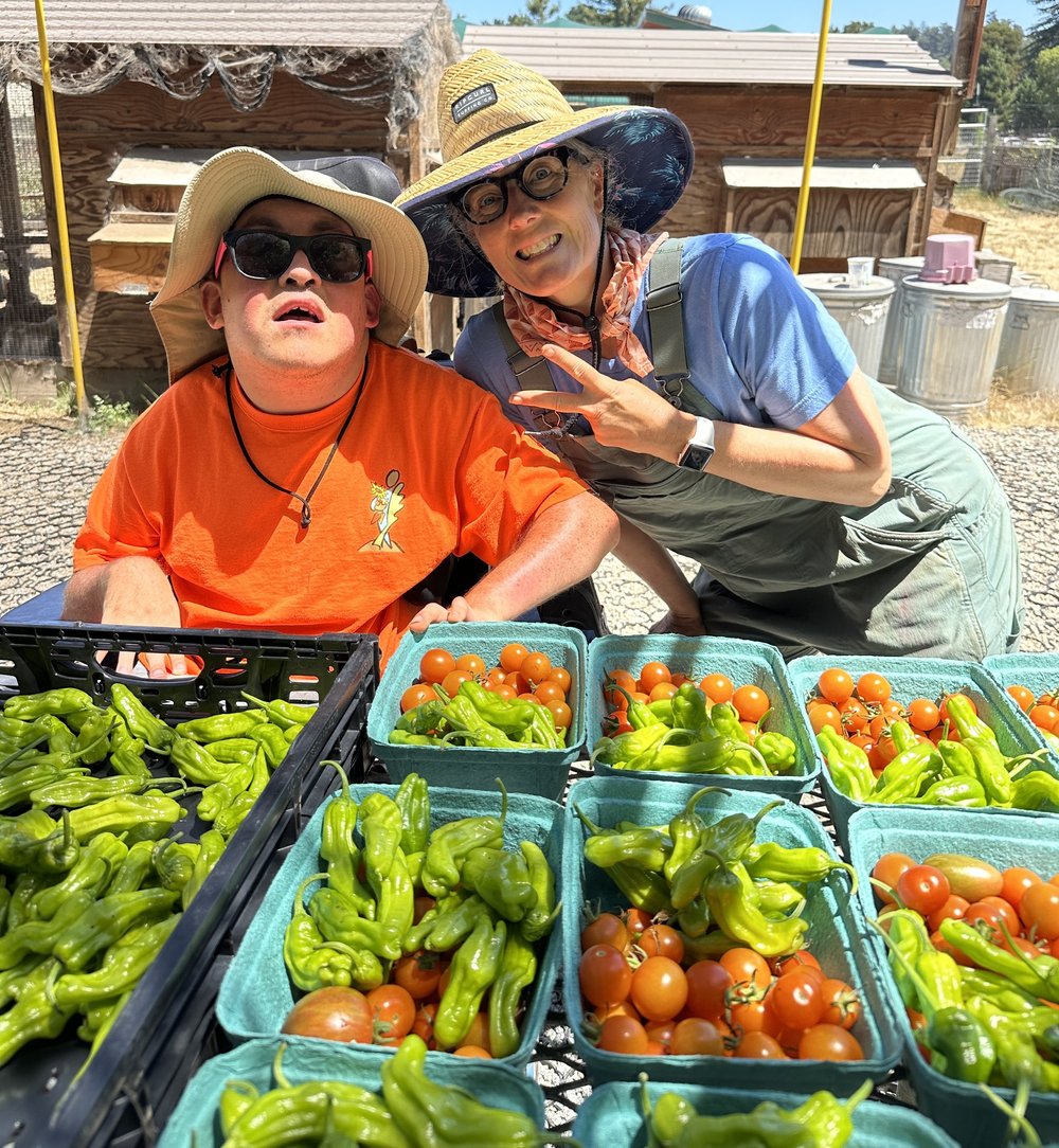 2025 CSA — Common Roots Farm