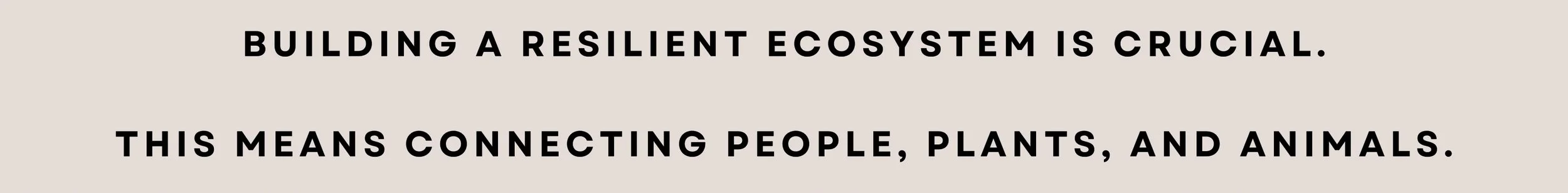 2025 Csa Common Roots Farm