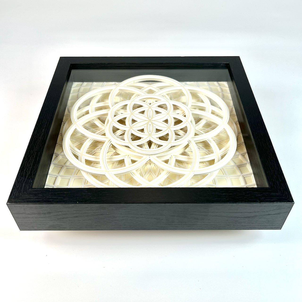 Sukanya (framed w- glass - perspective).jpeg