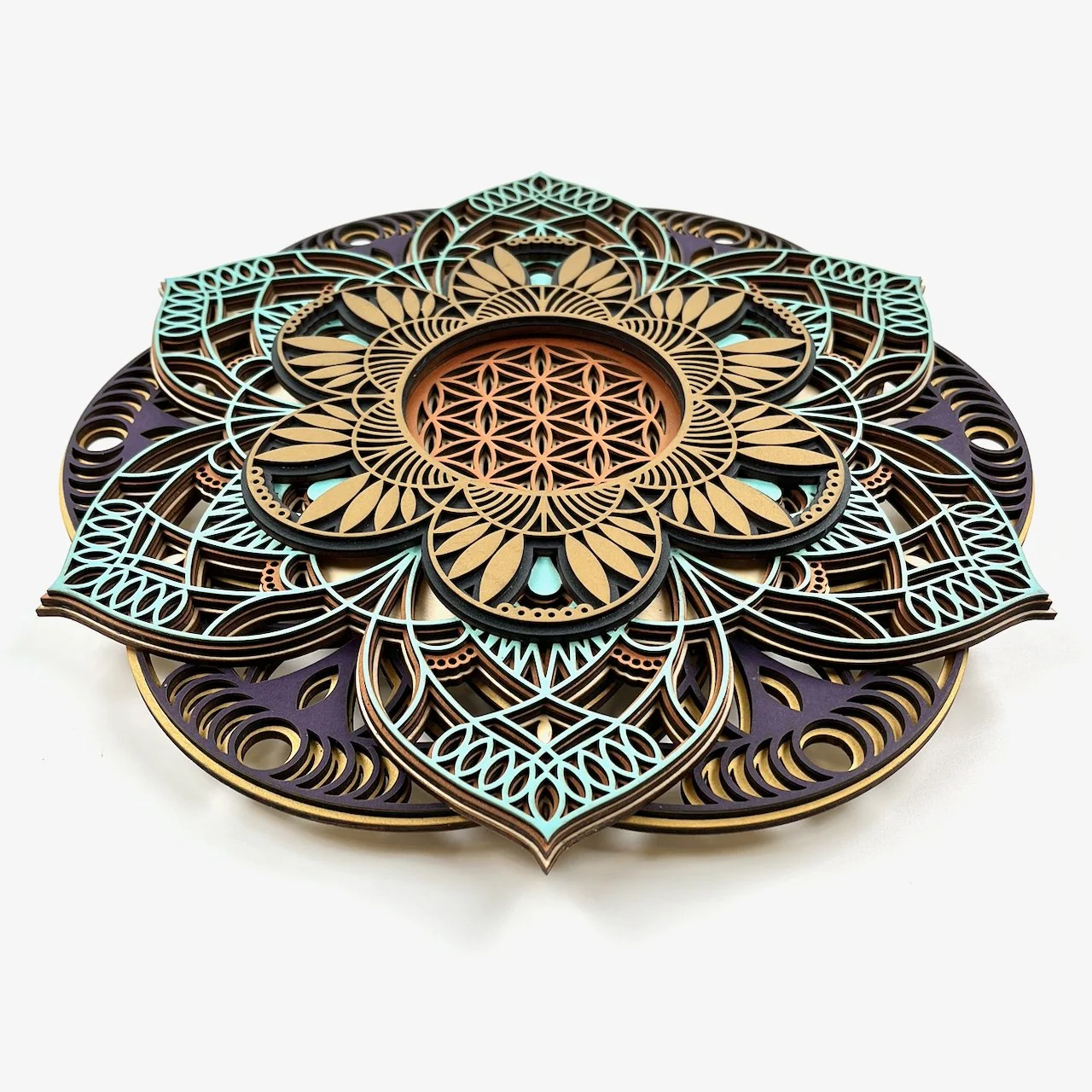 Draupadi (perspective) (1).jpeg