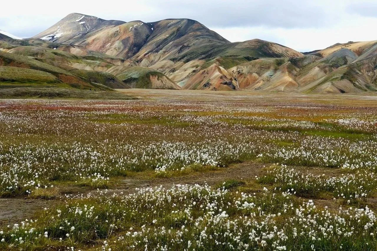 Landmannalaugar, Iceland 2018