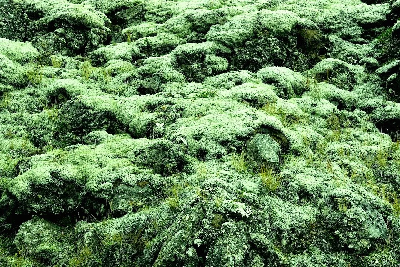 Landmannalaugar, Iceland 2018