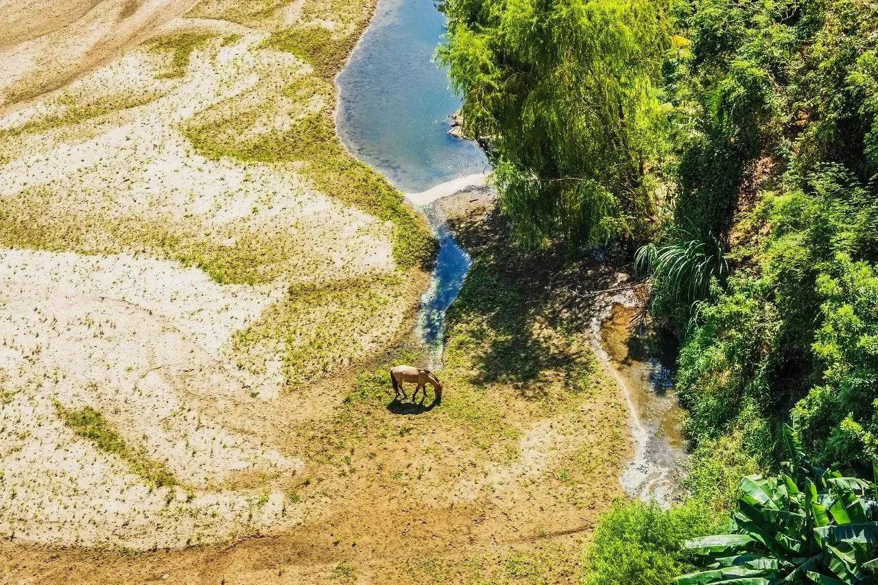Mazunte, Oaxaca, Maxico 2019