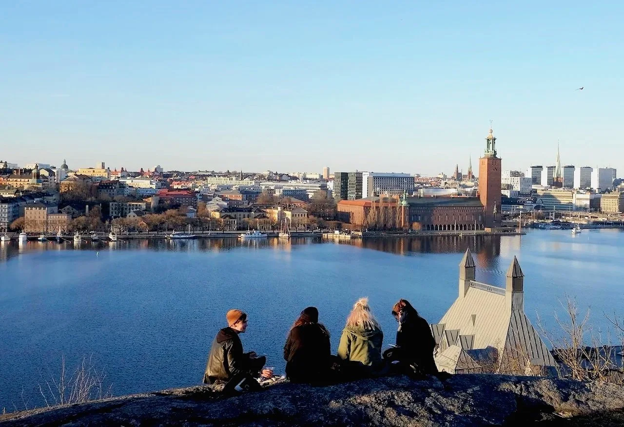 Skinnarviksberget, Stockholm