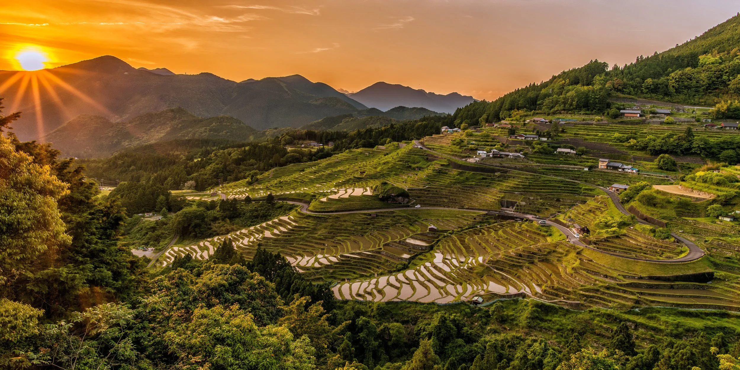 agriculture-beautiful-countryside-461818.jpg