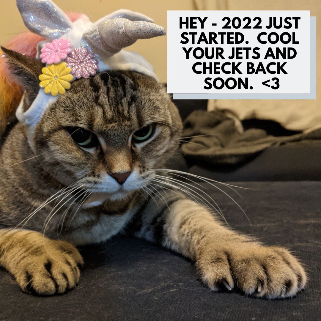 2022 just started, check back soon