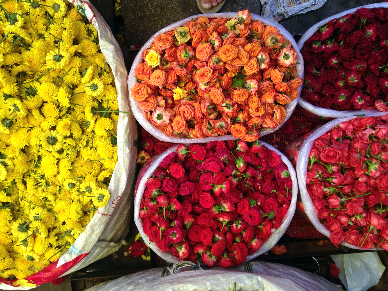 flower-market-india.jpg
