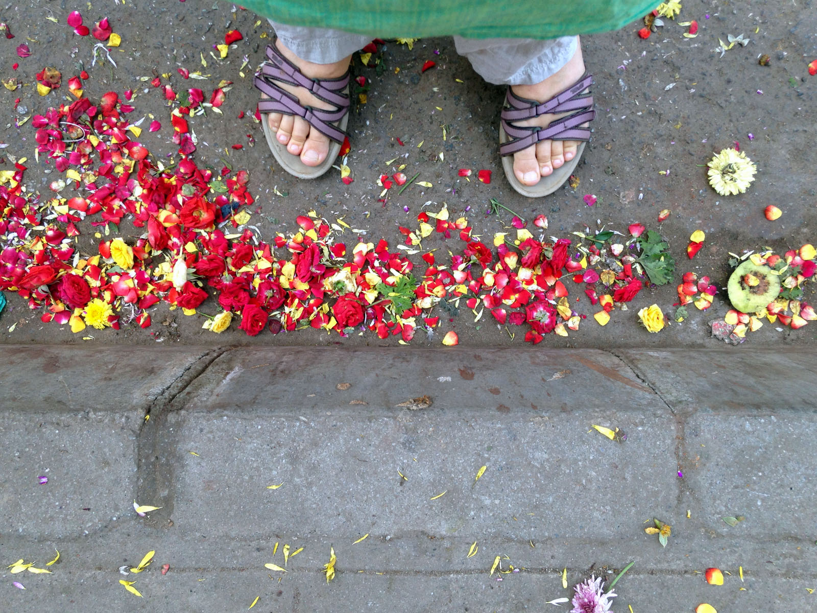 flowers-at-my-feet.jpg