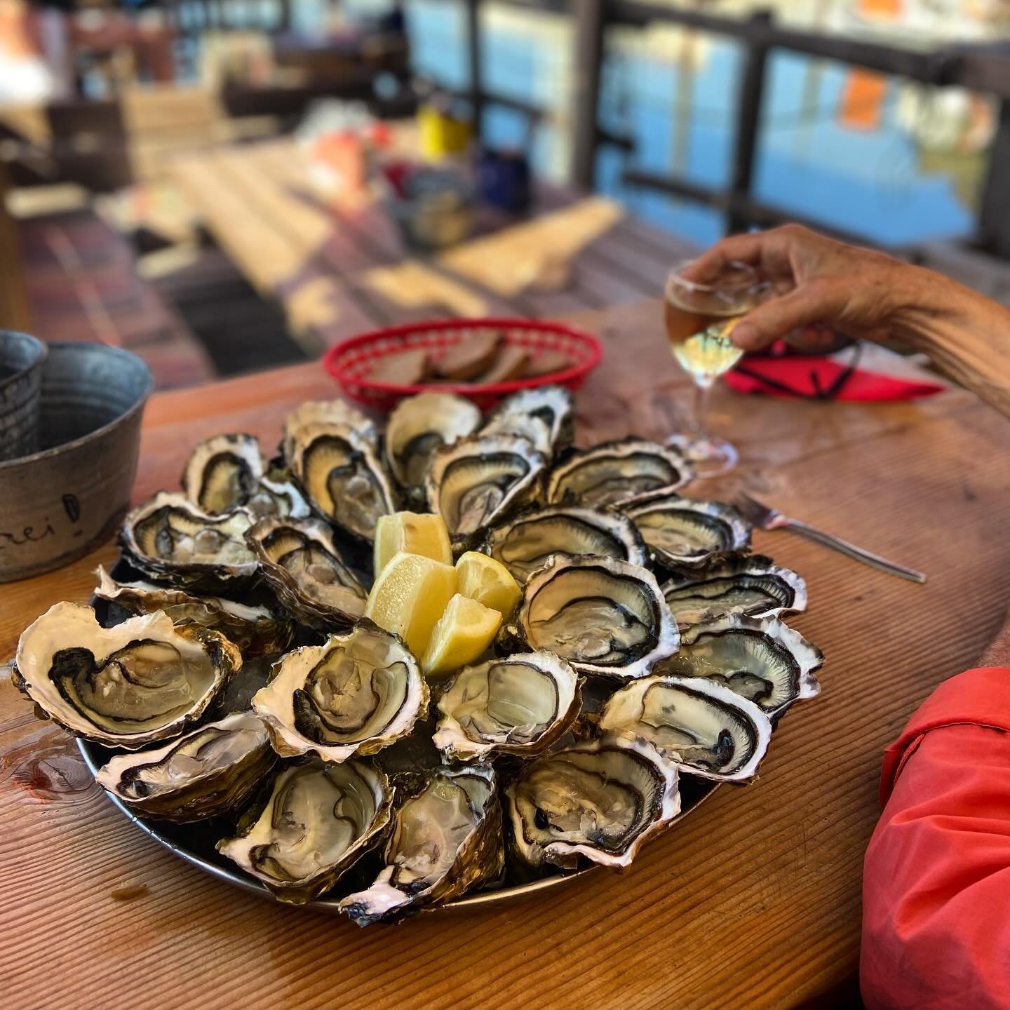 Monday lunch, Mediterranean oysters from Leucate, followed by a naked swim.