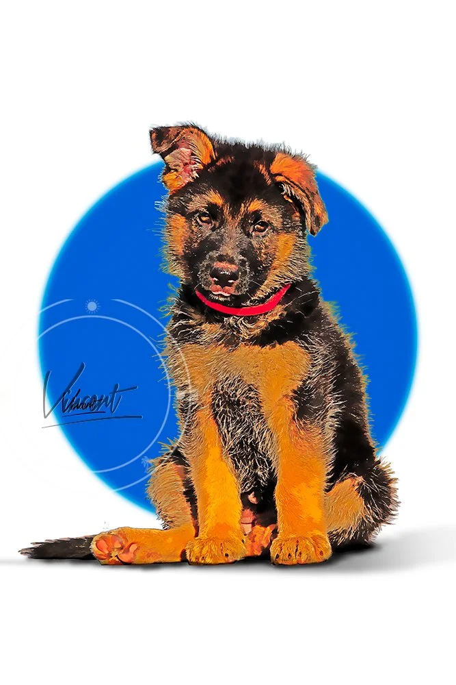 VincentZ_2025_Orlando_Pinup_PuppyGSD_4455_SM.jpg