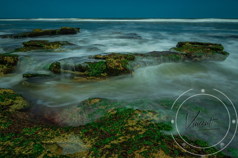 Low Tide Water Brush #4 - Beach Lifestyle Collection