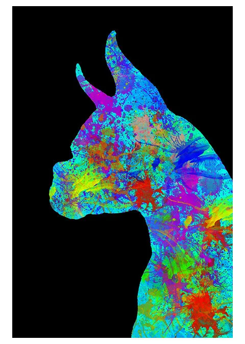 DP_092019_FL_Orlando_DigitalPaint_Abstract_Boxer_Pollack1_0115_Original.jpg