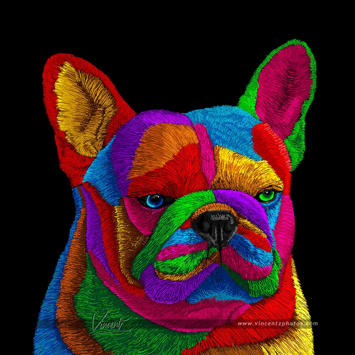 DPCD_082021_FL_Orlando_Dog_FrenchBulldog_0153_Original_WM.jpg