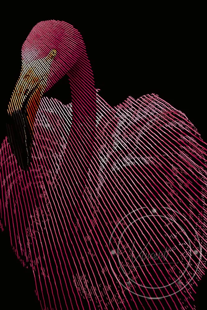 VincentZ_Orlando_2023_Flamingo_Pink_V1_SM.jpg
