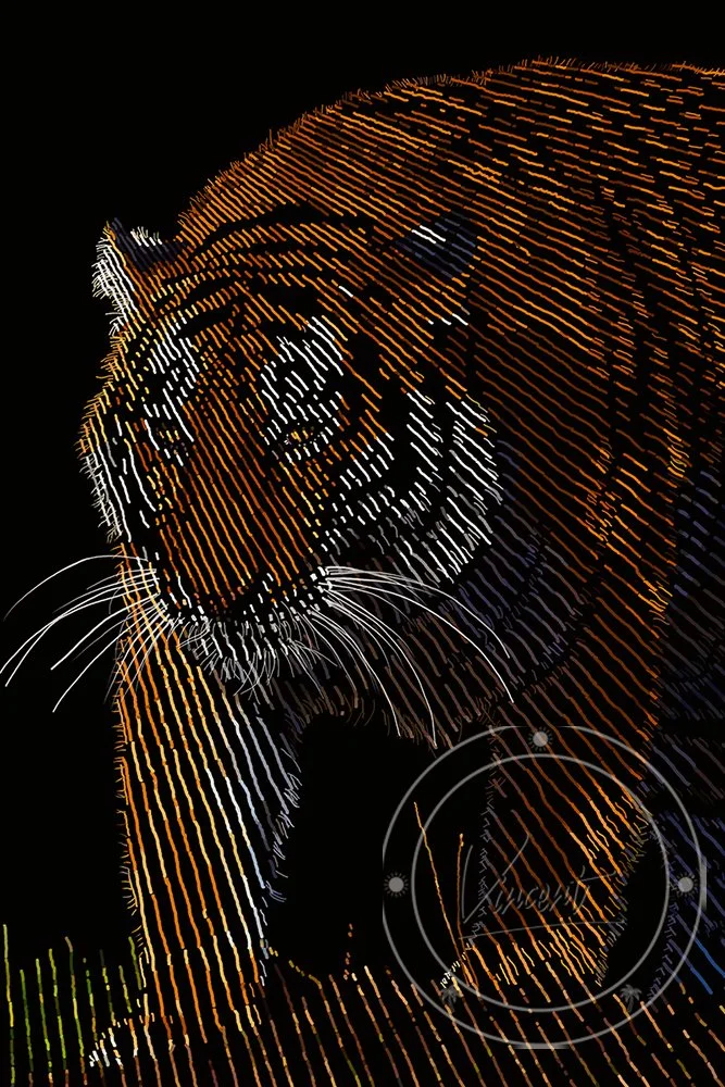 VincentZ_Orlando_2023_BengalTiger_V1_SM.jpg