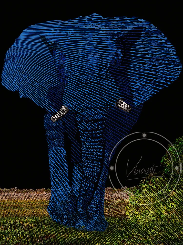 VincentZ_2023_FL_Orlando_FL_VL_Elephant_Blue_SM.jpg