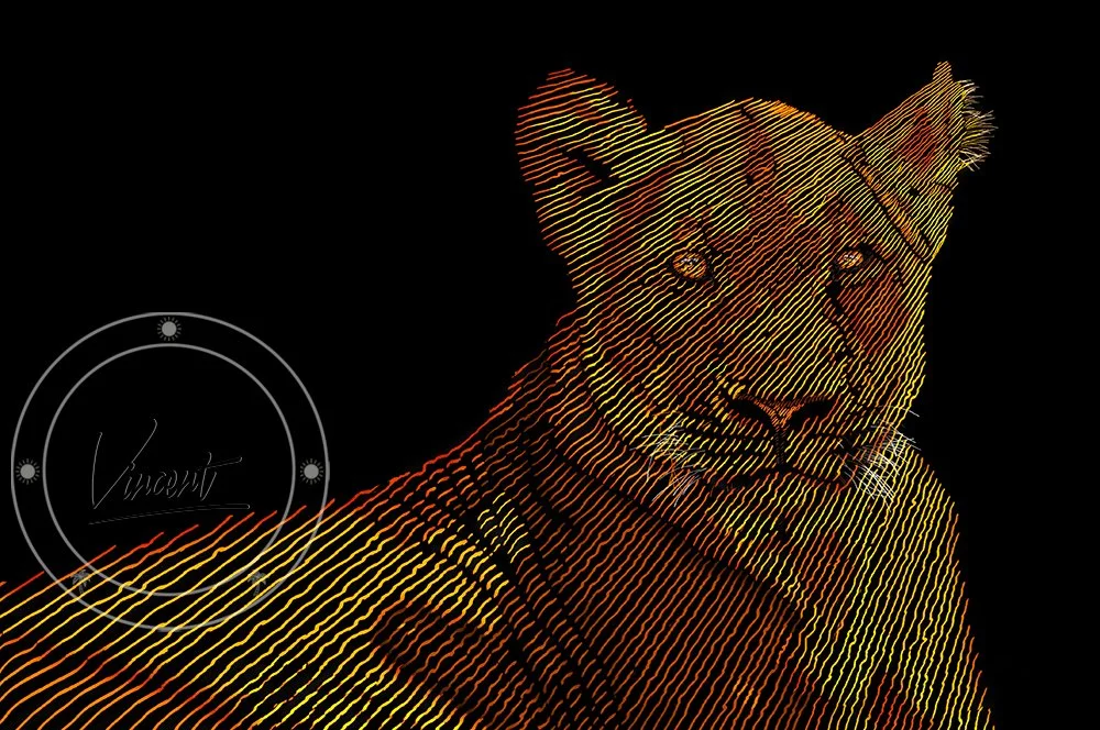 VincentZ_2020_FL_Orlando_LionQueen_SM.jpg