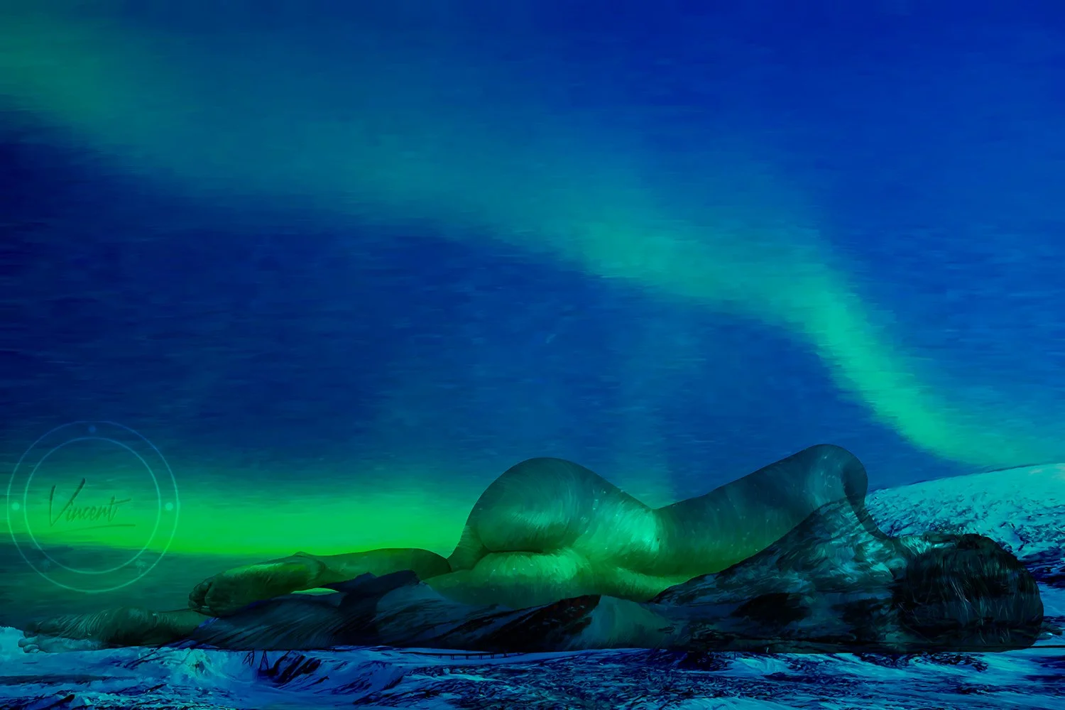 VincentZ_2025_Orlando_NorthernLights_5464_V1_SMG.jpg