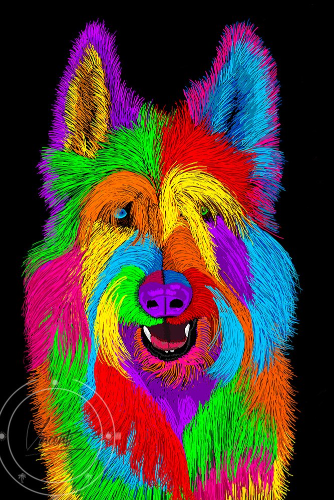 VincentZ_2021_Orlando_Dog_Picard_5395_SM.jpg