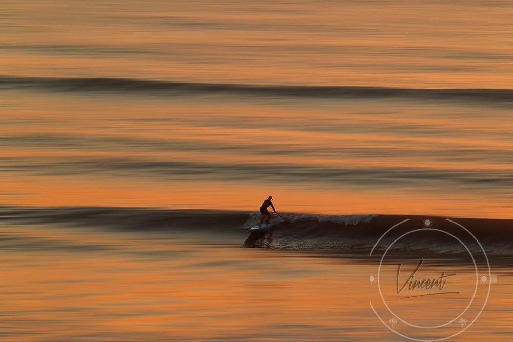 VincentZ_2026_Daytona_ACEOPadleboarding_LX_FA_9207_V2.jpg