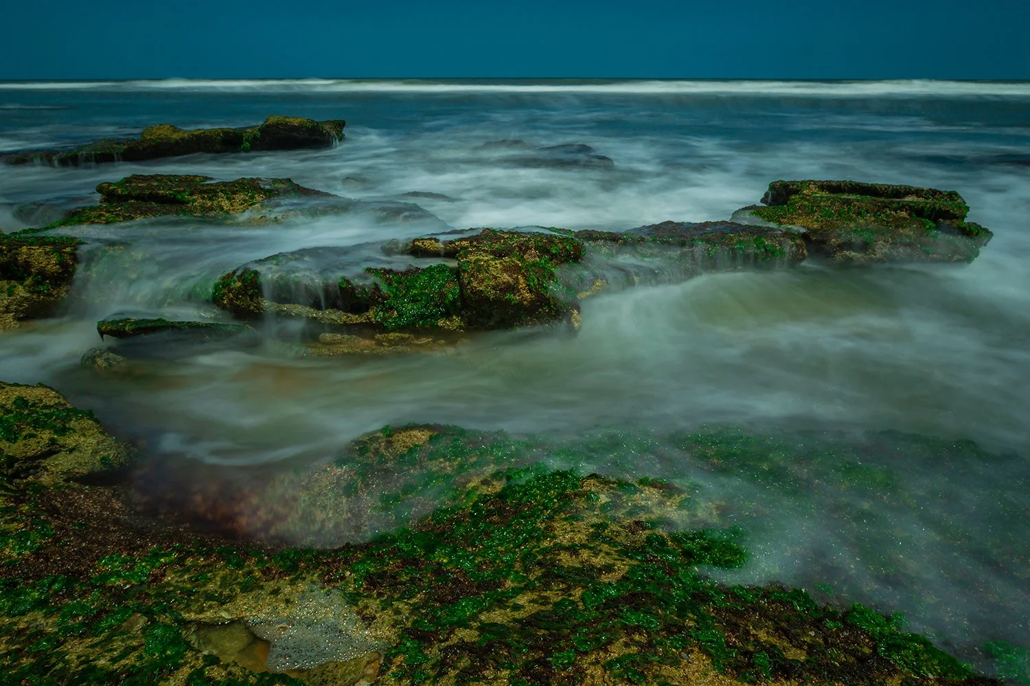VincentZ_2018_PalmCoast_WOGPB_Coquina&Waves_4571_E2021_SM.jpg