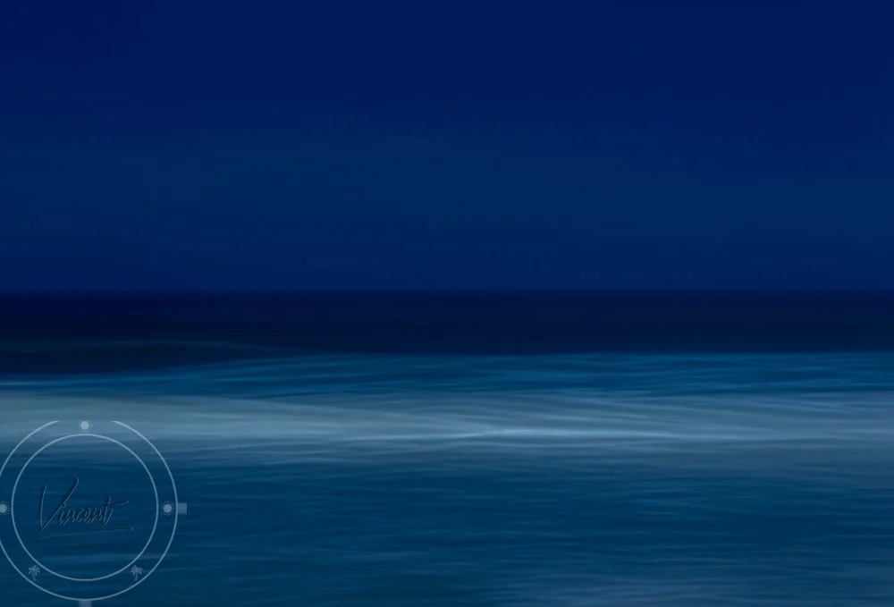 VincentZ_2019_FL_PalmCoast_Marineland_Waves_E2021_9811_SM.jpg