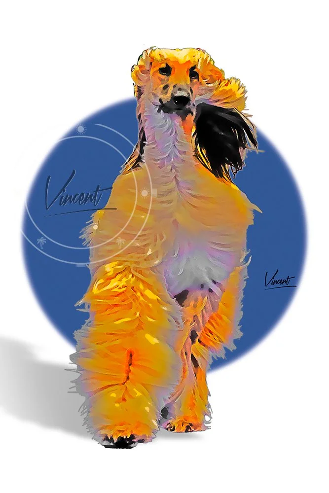VincentZ_2025_Orlando_Pinup_AfghanH_8168_SM.jpg