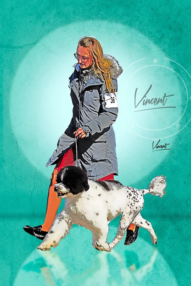 VincentZ_2025_Orlando_Pinup_DogShows_3158_V1_SM.jpg