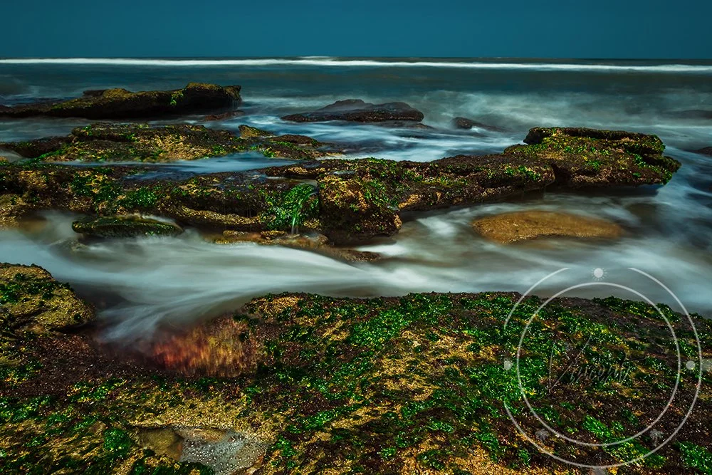 Low Tide Water Brush - Beach Lifestyle Collection