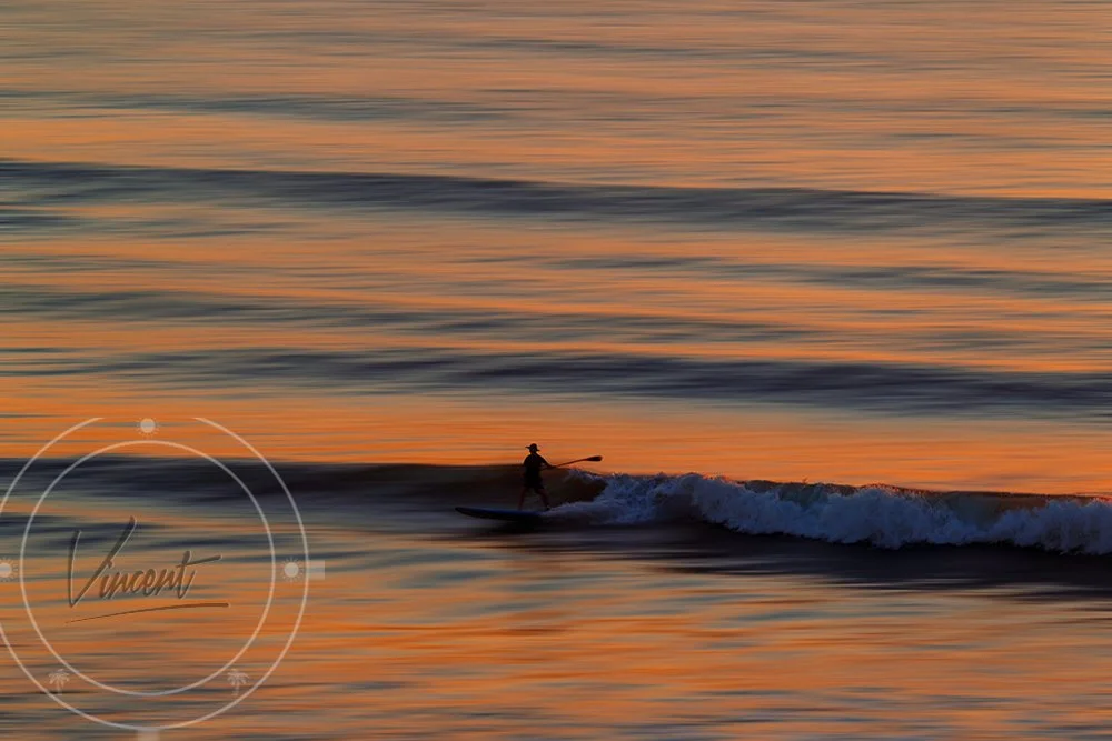 VincentZ_2026_Daytona_ACEOPadleboarding_LX_FA_9207_SM.jpg
