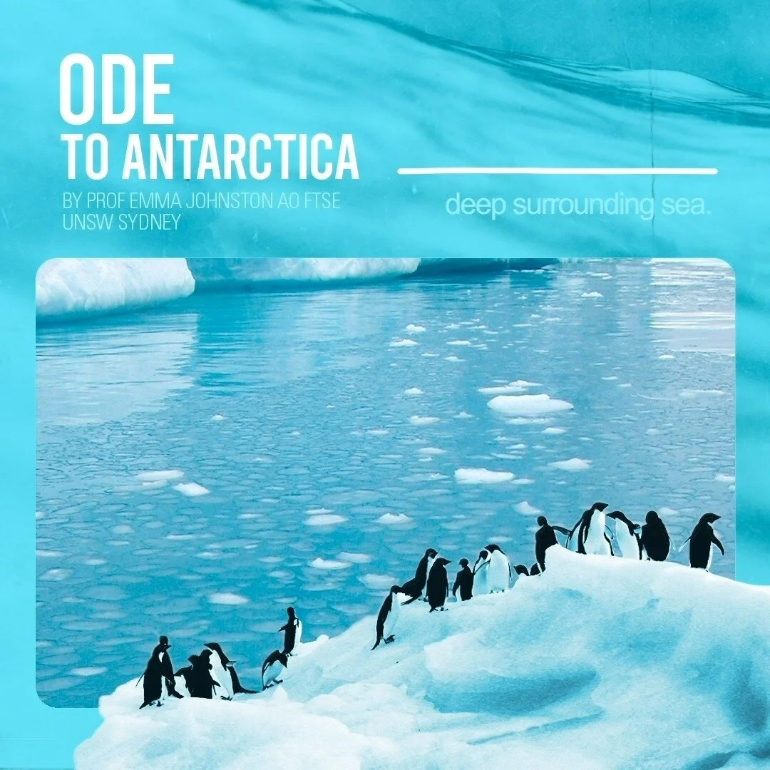 Emma Johnston's Ode to Antarctica