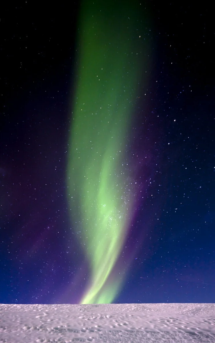 Dive into our 2020 Annual Report: now available online