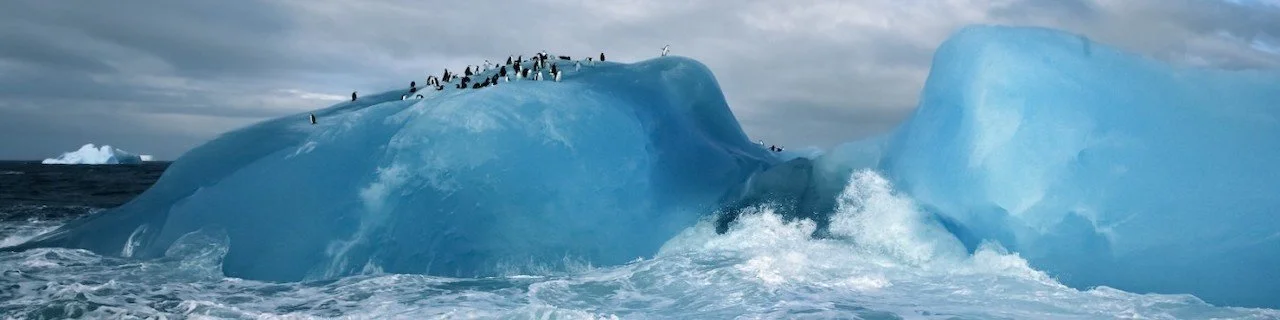 Join us for “Antarctic Dialogues”