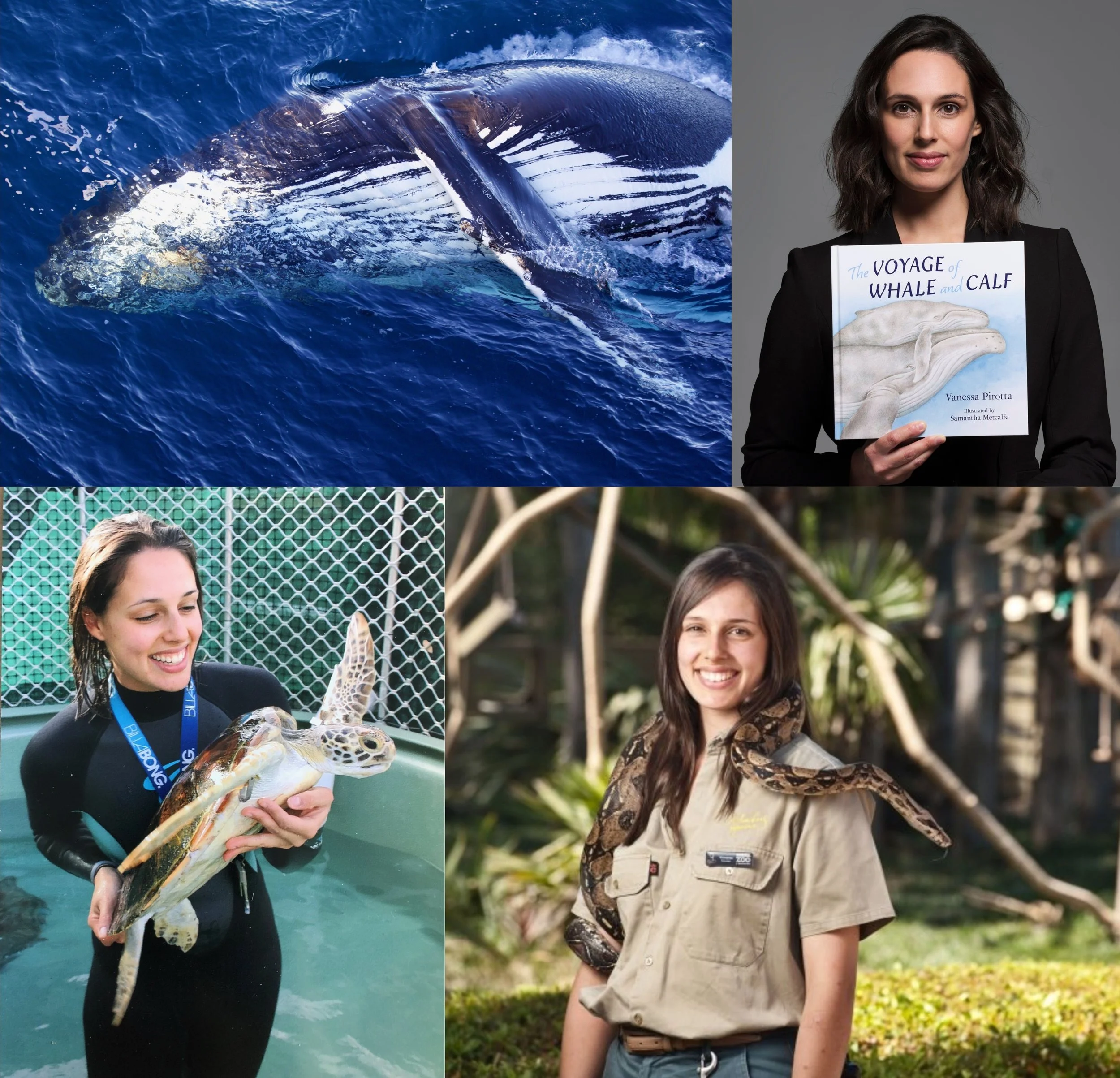 SCHOOL HOLIDAY SPECIAL: “Whales, poo and Antarctica all make the world go round!” with Dr Vanessa Pirotta