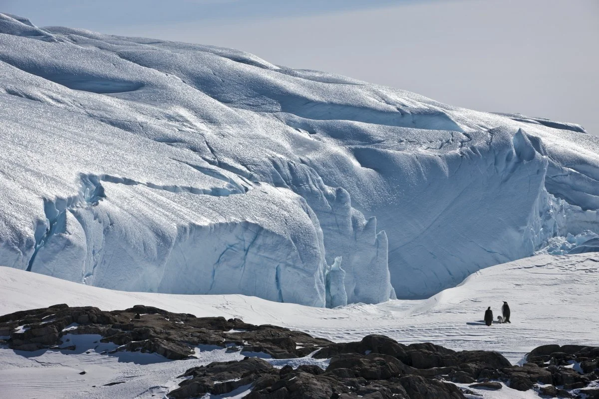 Join us for “Antarctic Dialogues” #2 (REDUX)