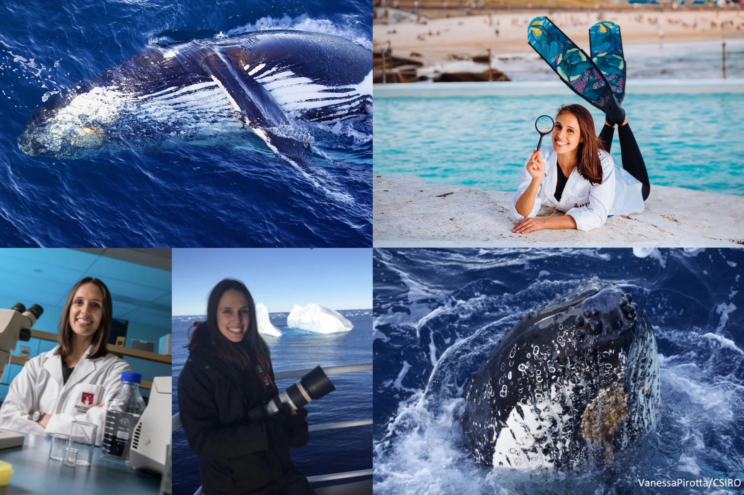 “Whales in Antarctica:&nbsp;delicate balance, extraordinary symbiosis.”🐳🐋 with Dr Vanessa Pirotta