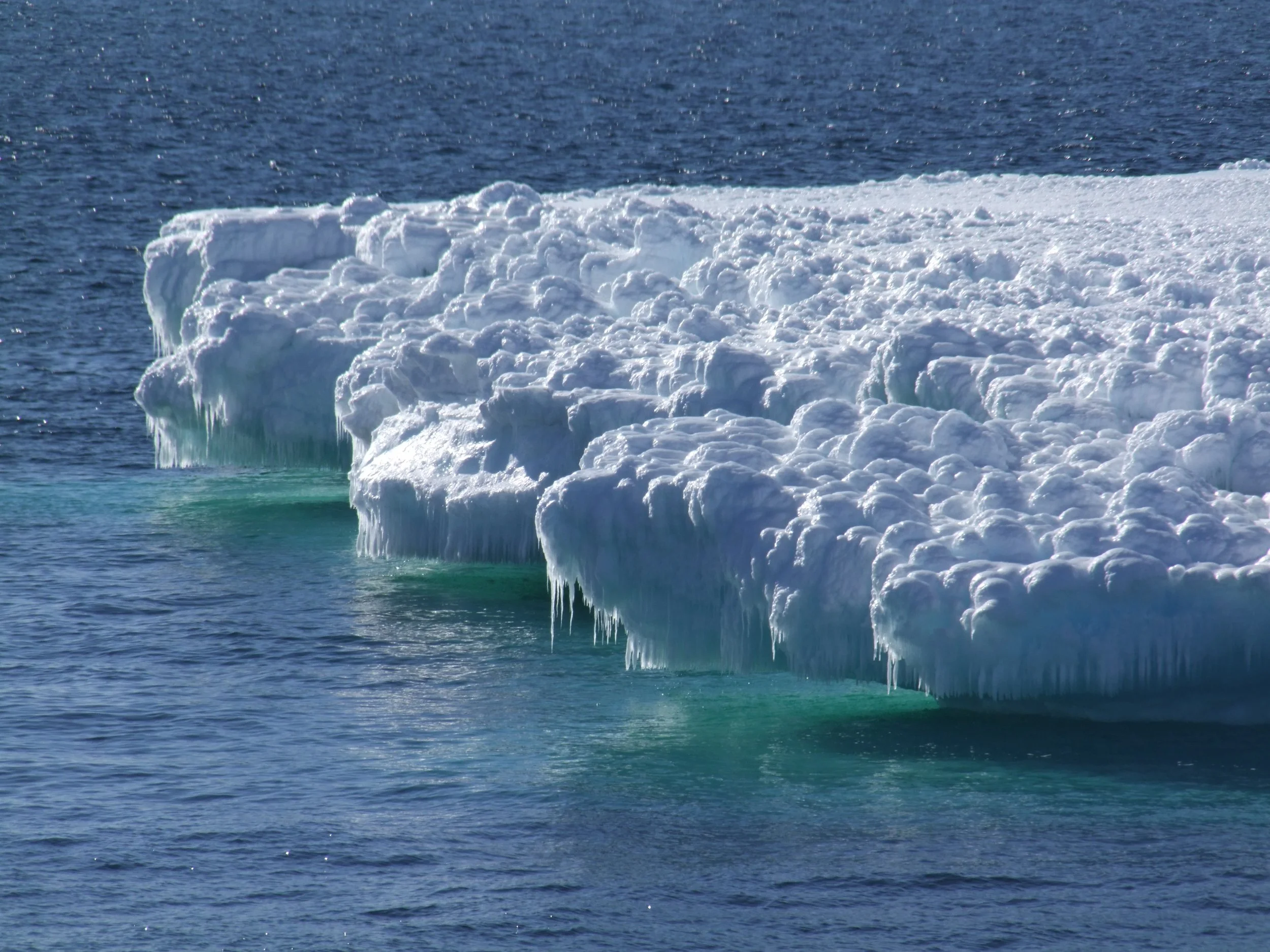 A heatwave in Antarctica totally blew the minds of scientists. They set out to decipher it – and here are the results