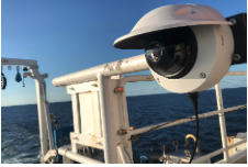 Meet 'Johnathan' the AI-powered camera, just one type of new technology saving the ocean's endangered animals