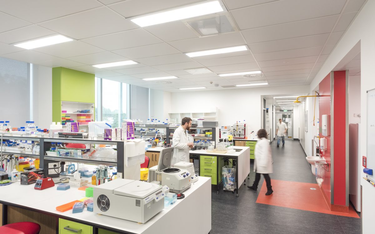 Plant-and-Food-Research-Hamilton-Building_-new-lab_8-of-10.jpg